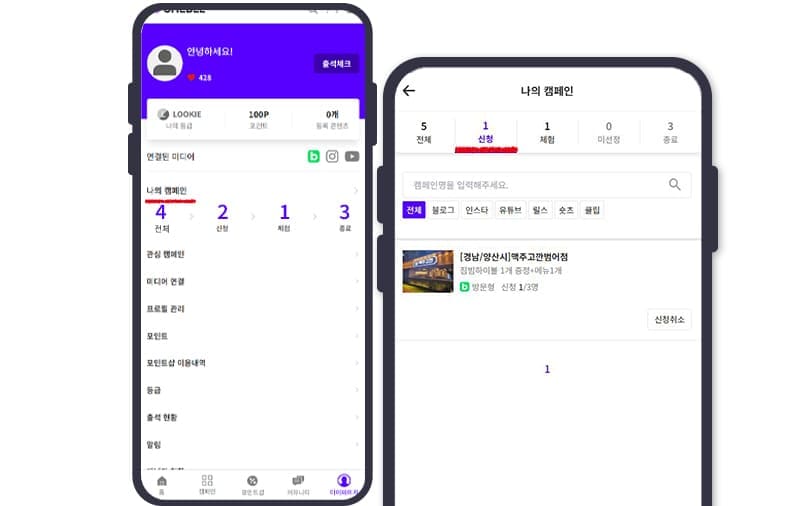 선정된 캠페인 확인 예시